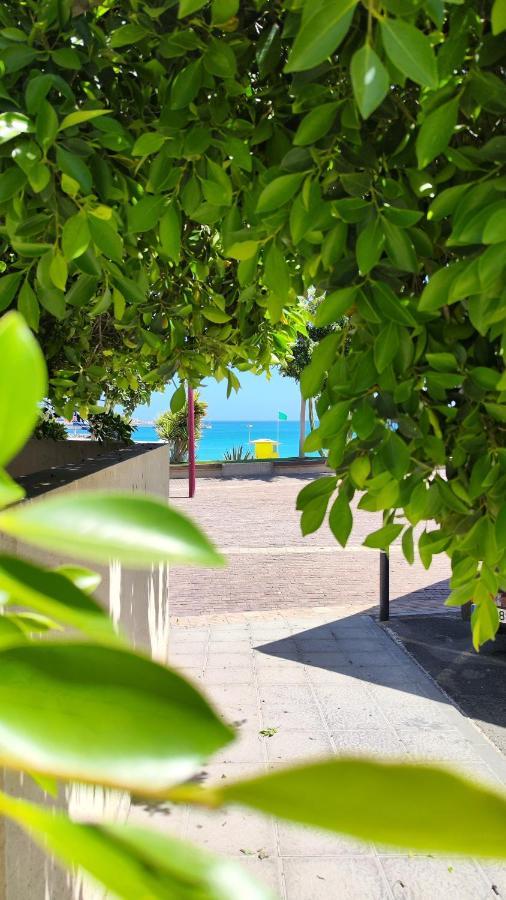 Fabelo Apartment, Puerto Del Rosario Puerto del Rosario  Εξωτερικό φωτογραφία